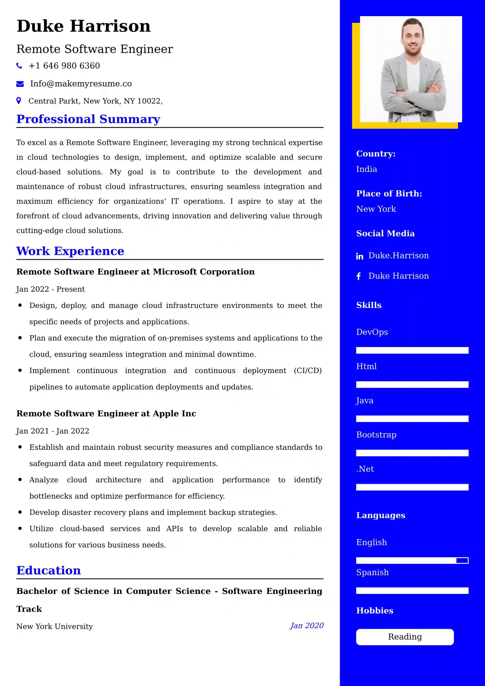 Remote Software Engineer Resume Examples for UAE